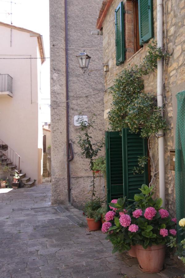 Antica Abitazione Con Vista Montagna Casa Norma Apartment Seggiano Exterior photo